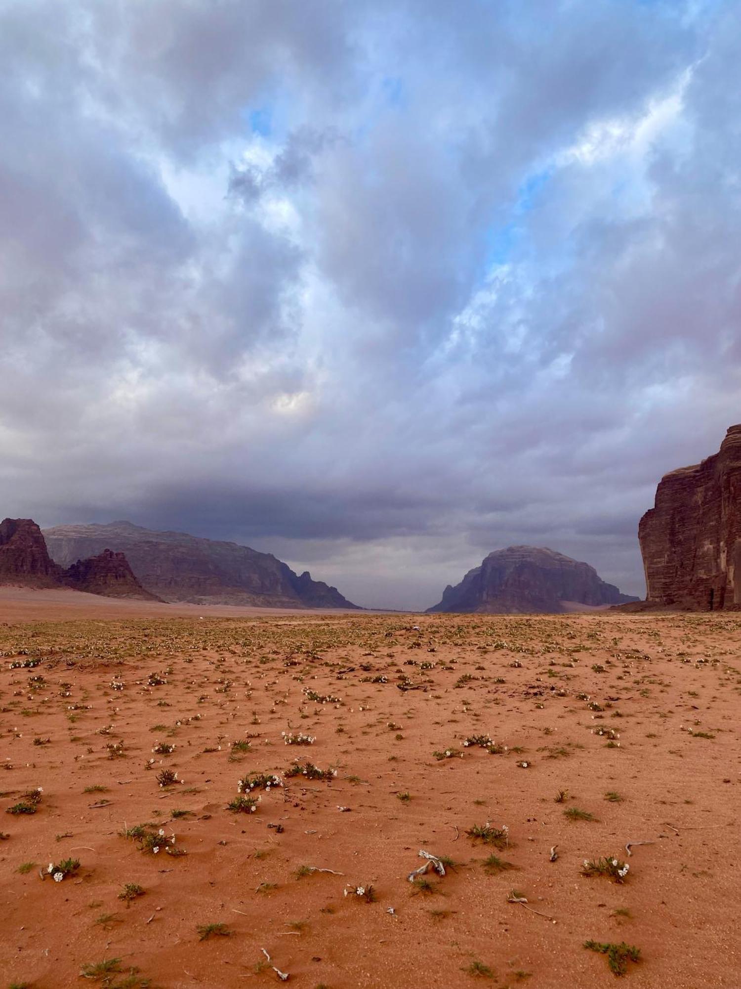 Glamp Camp Wadi Wadi Rum